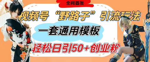 视频号“野路子”玩法，评论区疯狂截流，一套模板单日单号引流50+创业粉-牵机网