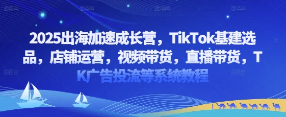 2025出海加速成长营，TikTok基建选品，店铺运营，视频带货，直播带货，TK广告投流等系统教程-牵机网