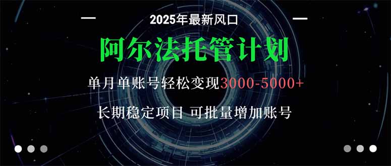阿尔法托管计划 单账号月入3000-5000，长期稳定项目，新手小白轻松上手。-牵机网