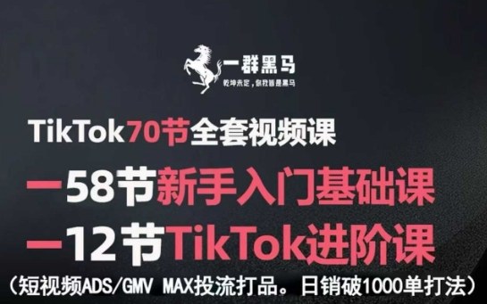 TikTok全套视频课，新手入门+进阶课，短视频ADS-GMV MAX投流打品，日销破1000单打法-牵机网