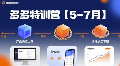 多多特训营，产品决定上限，方法决定下限，各种玩法技巧落地实操(更新)-牵机网