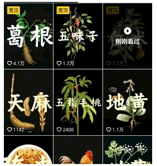 抖音中草药赛道，用AI做中草药故事视频，45条作品涨粉13W，橱窗带货猛猛出单-牵机网