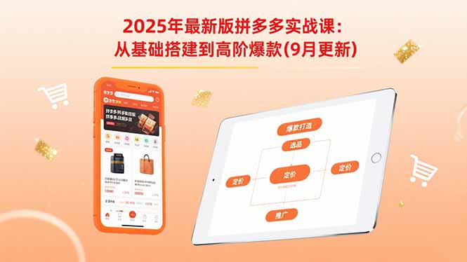 2025年最新版拼多多实战课：从基础搭建到高阶爆款(9月更新-牵机网