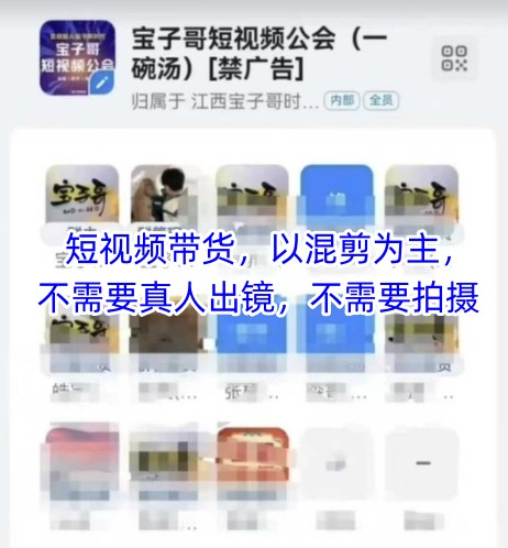 宝子哥头部团队短视频带货，以混剪为主，不需要真人出镜，不需要拍摄【更新9月】-牵机网