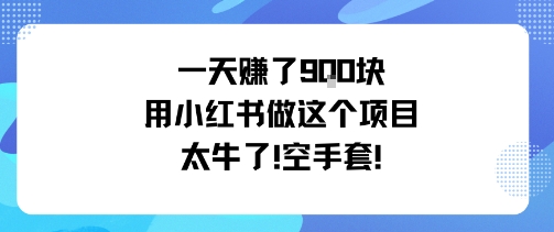 一天挣了9张用小红书做这个项目太牛了，空手套-牵机网