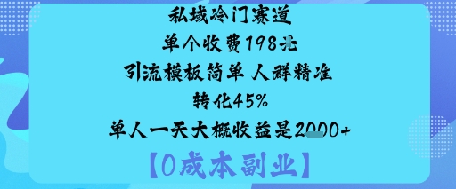 私域冷门赛道:单个收费198米引流模板简单人群精准转化45%单人一天大概收益是1k+-牵机网