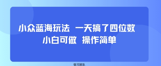小众蓝海玩法 一天搞了四位数 小白可做 操作简单-牵机网