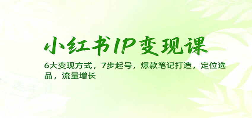 小红书IP变现课：6大变现方式，7步起号，爆款笔记打造，定位选品，流量增长-牵机网