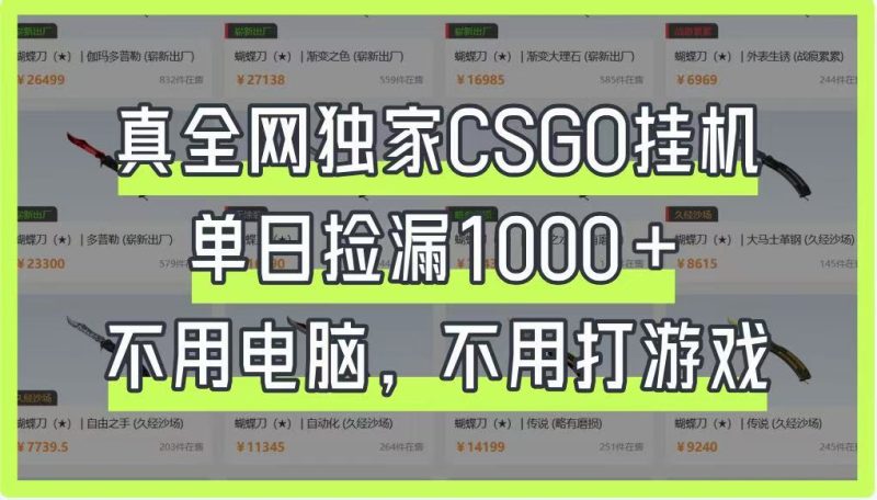 真全网独家CSGO挂机,单日捡漏1000+,不用电脑,不用养号-牵机网